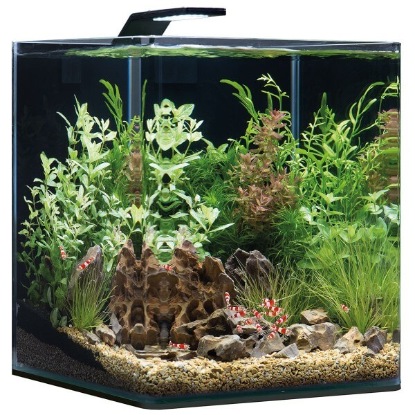 30 Liter Aquarium