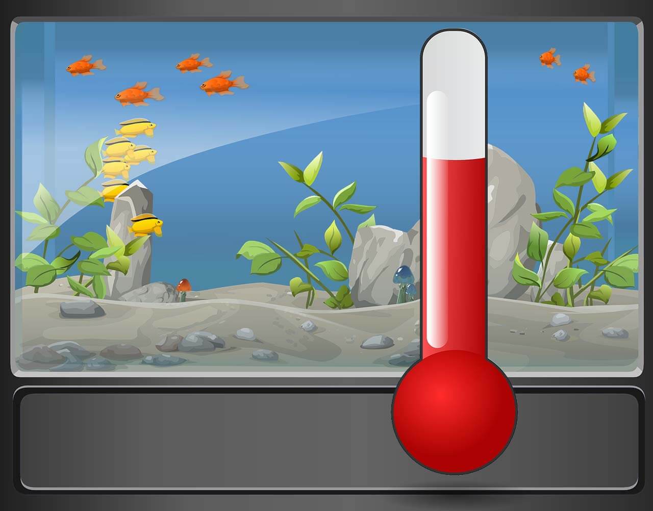 Thermometer NanoAquarium Was ist zu beachten?
